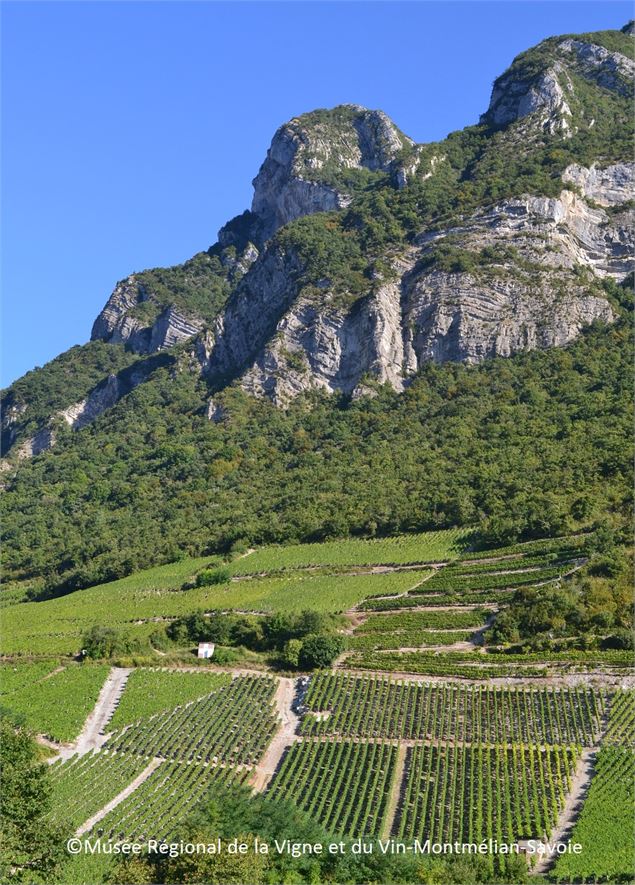 La Savoyarde - Geosite - Geopark des Bauges - Musée Régional de la Vigne et du Vin-Montmélian-Savoie