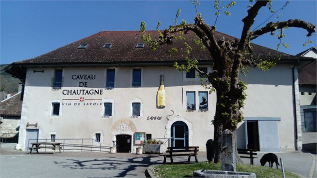 Caveau de Chautagne découverte Guides du Patrimoine Savoie Mont Blanc - Oui