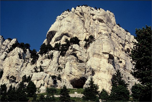 Grotte de la Balme à Collomb - Entremont le Vieux - Musée de l'ours des cavernes