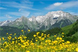 Vue sur les Aravis - © Savoie Mont Blanc - Lansard