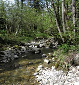 Rivière la Fillière - DdoValle Martins