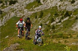 Le Tour de l'Andran - Itinéraire VTT Crosscountry n°19