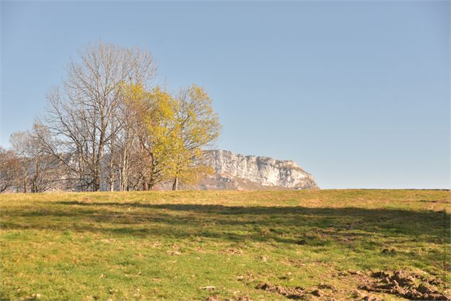 départ des pistes - école de VTT La Féclaz - Massif des Bauges