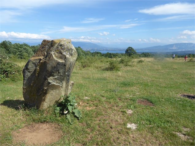 Randonnée Grilly Mont-Mourex