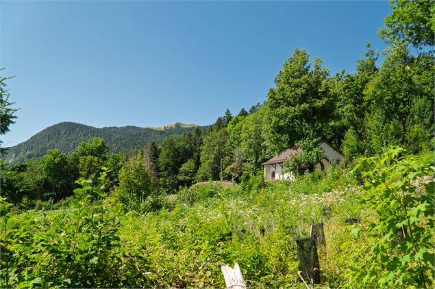 Le Pré Bouillet - ©ThomasBalliard