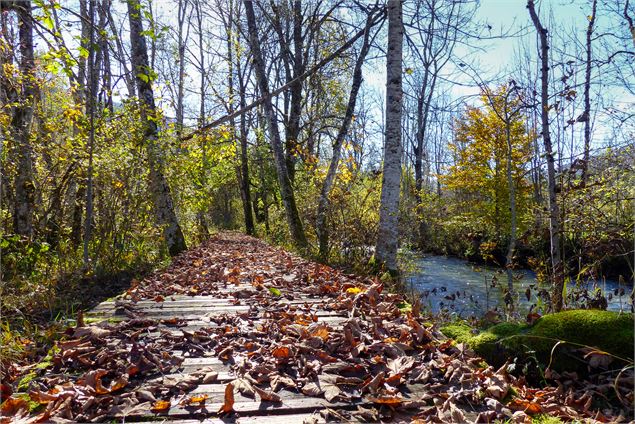 Les ponts de la Valserine - ©Annelegrand