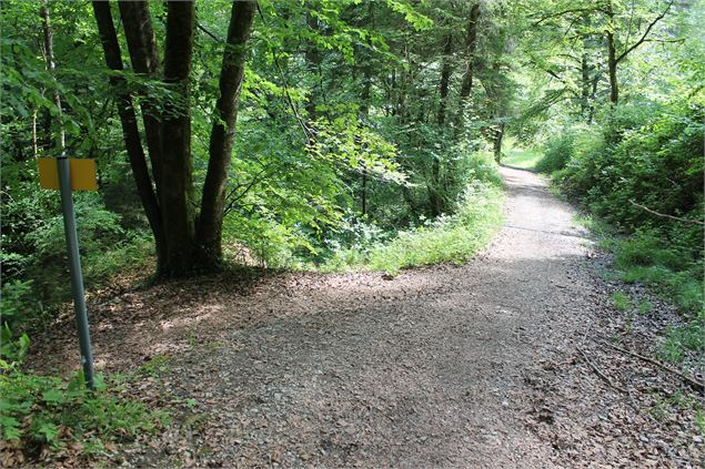 Boucle VTT de Lescheraines - Cascade du Pissieu