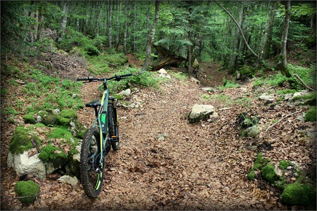 Piste VTT FFC noire 11 - La Féclaz - école de VTT La Féclaz - Massif des Bauges