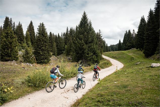 Piste VTT FFC verte 1 - La Féclaz - Peignée Verticale - Grand Chambéry Alpes Tourisme