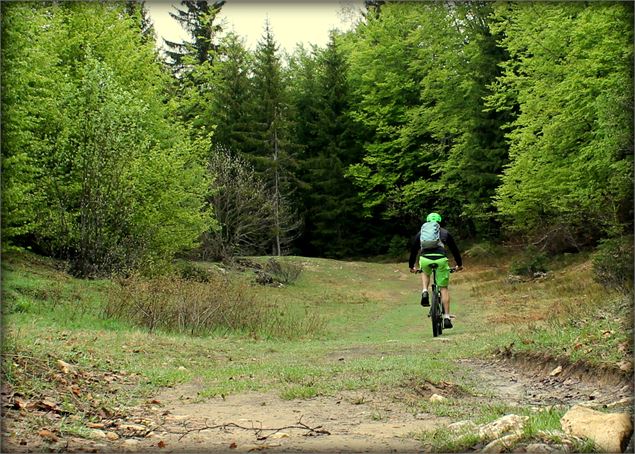 Piste VTT FFC verte - La Féclaz - école de VTT La Féclaz - Massif des Bauges