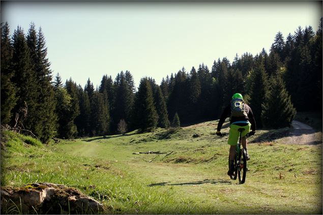 Piste VTT FFC bleue - La Féclaz - école de VTT La Féclaz - Massif des Bauges