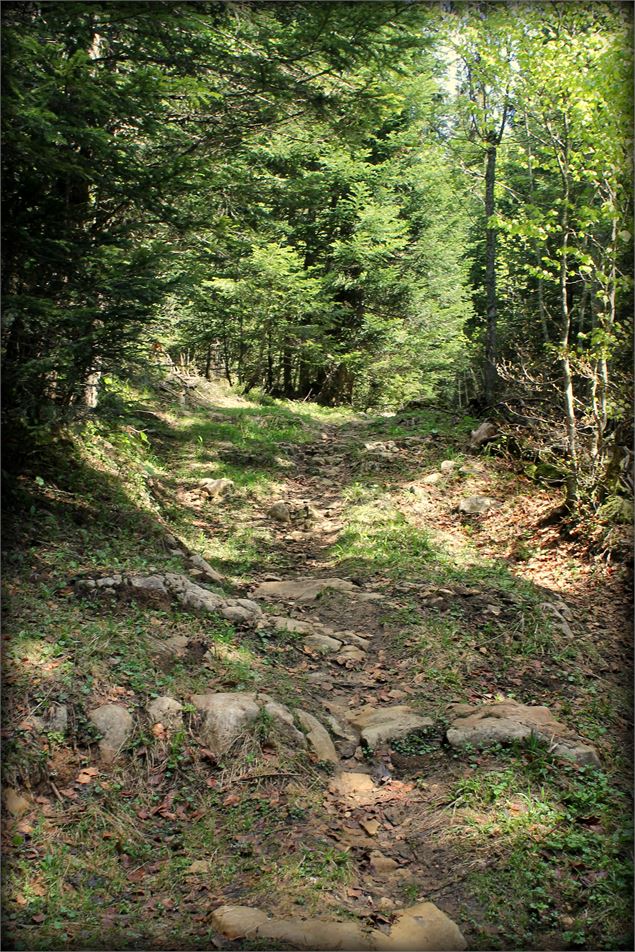 Piste VTT FFC rouge - La Féclaz - école de VTT La Féclaz - Massif des Bauges