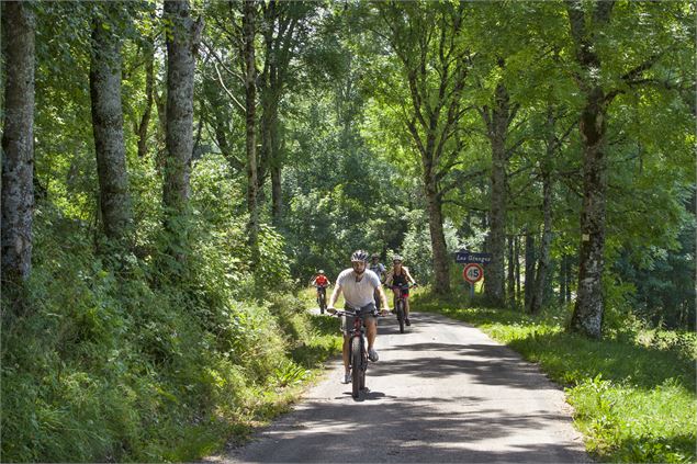 VTT aux alentours de Giron - ©Daniel Gillet - OT  Terre Valserine