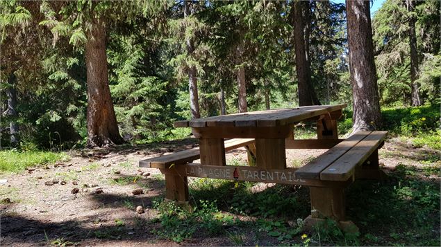 Table de pique nique à la Tourbière du Lac Noir - OTMLP