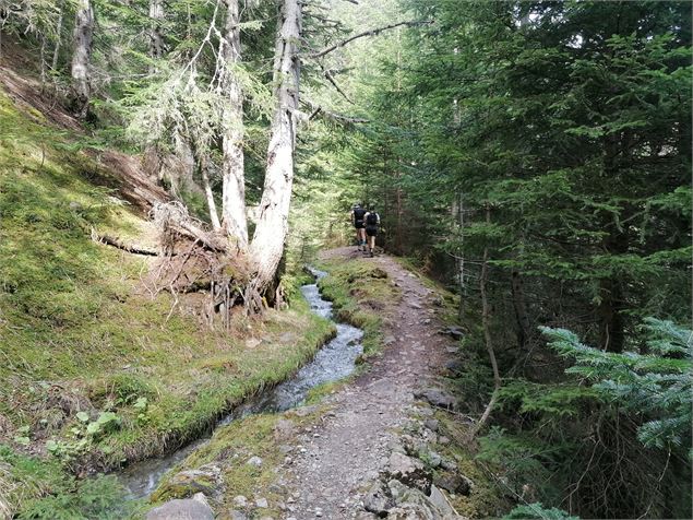 Sentier du Grand Bief - La Plagne Vallée