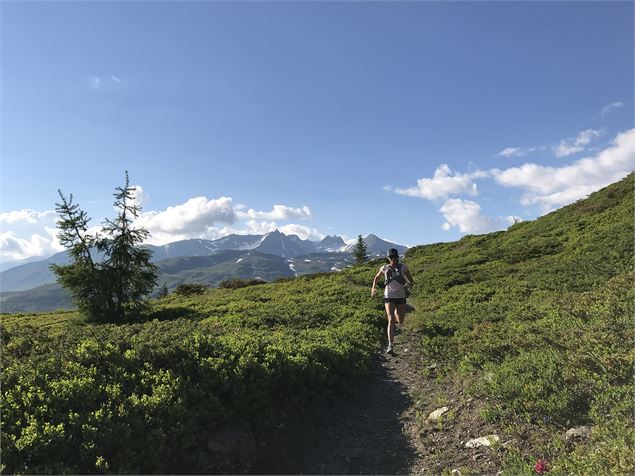 Parcours permanent de trail