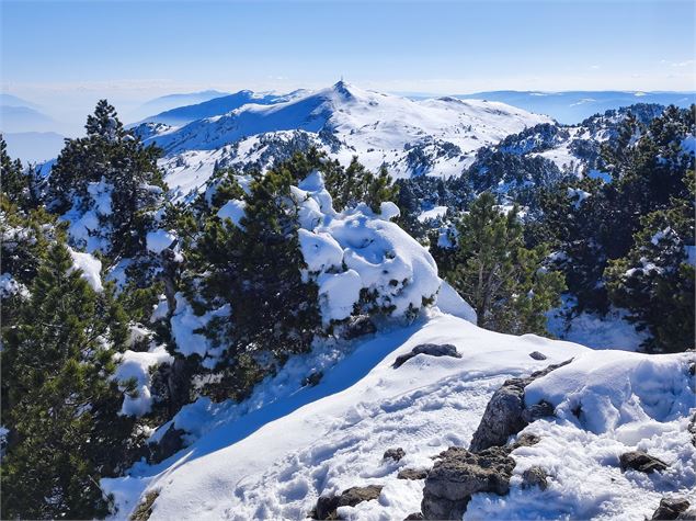 Sentier raquettes de Lélex au Crêt de la Neige_Lélex - ©Anne-Marie Barbe