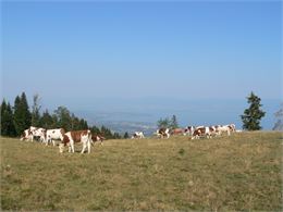 Hermones - OT Alpes du Léman