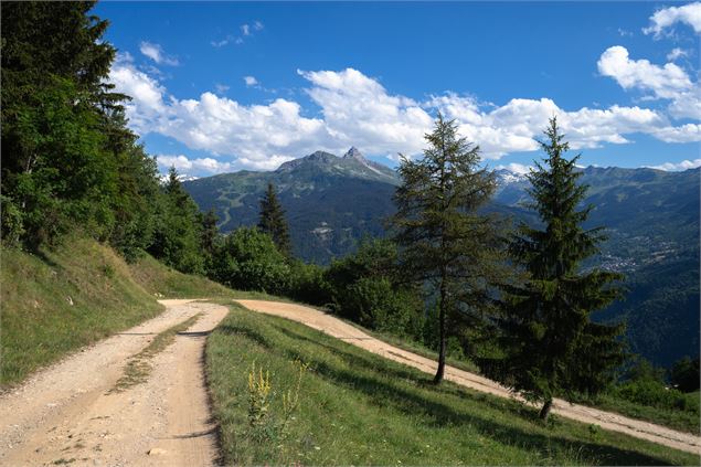 Sentier du Pré Benoit - Feissons sur Salins - Geoffrey Vabre