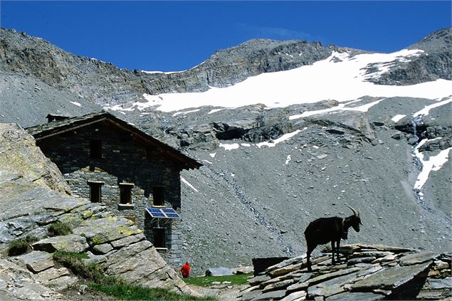 Refuge du Carro Bonneval sur Arc - OT HMV