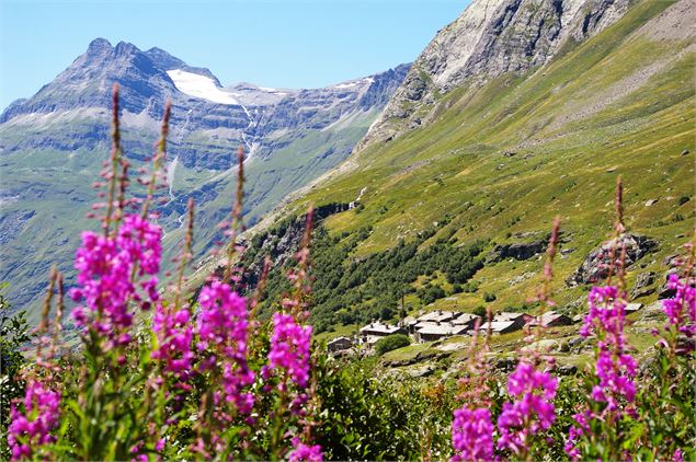 L'Ecot sur le sentier du glacier des Sources de l'Arc - HMVT