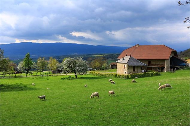 Patrimoine du village de Lochieu