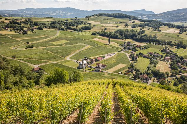 Vue depuis le Coteau de Marestel - Henri de Caevel