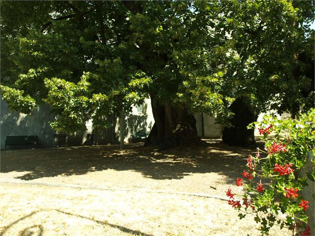 Sentier patrimoine de Douvaine