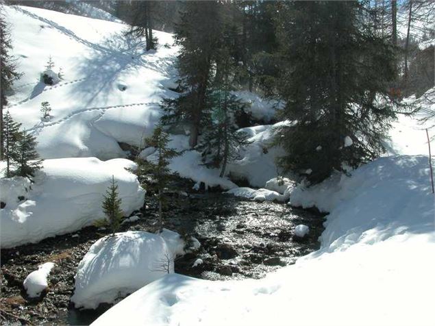 Sentier le Bief Bovet - Maison de Montalbert