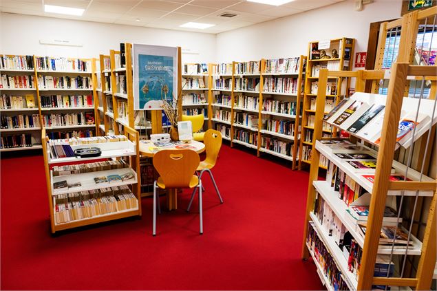 Bibliothèque - Sylvain Aymoz