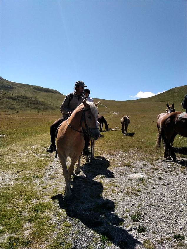 Lionel à cheval dans les alpages - Lionel Richar