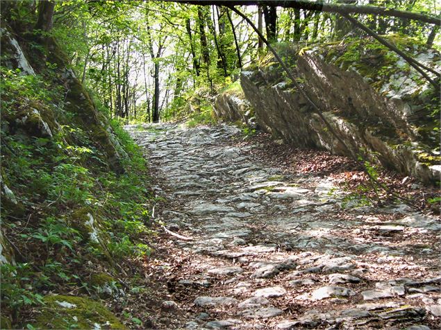 Voie sarde d'Aiguebelette - F.Barre