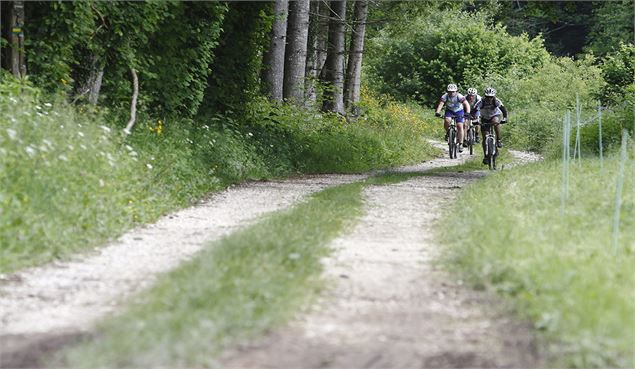 Traversée forestière du Banchet