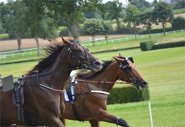 Courses à l'hippodrome de Châtillon - Pixabay - Jaclou-DL