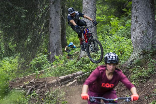 Descente du Bois de la Motte  - Piste VTT Descente N°12