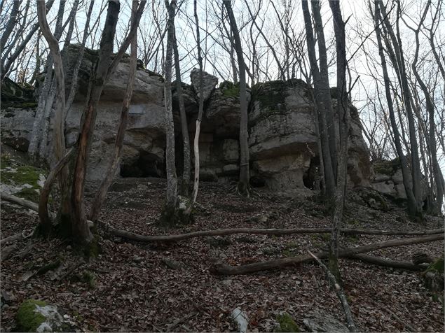 Rocher du Maquis - Alter Alpa Tourisme