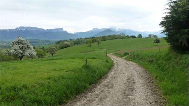 Point de vue - Hameau de la Mandallaz - Alter Alpa Tourisme