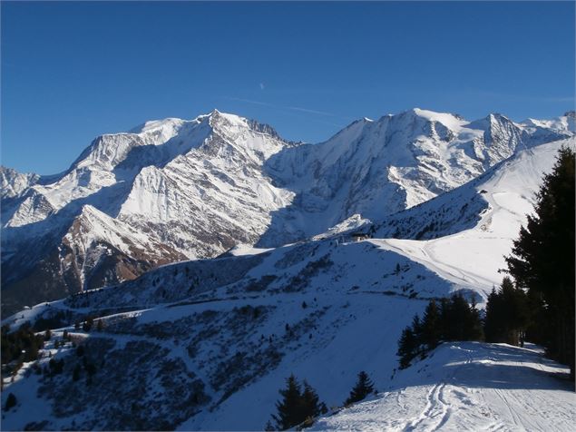 Vue sur le Mont-Blanc - M. Mautué