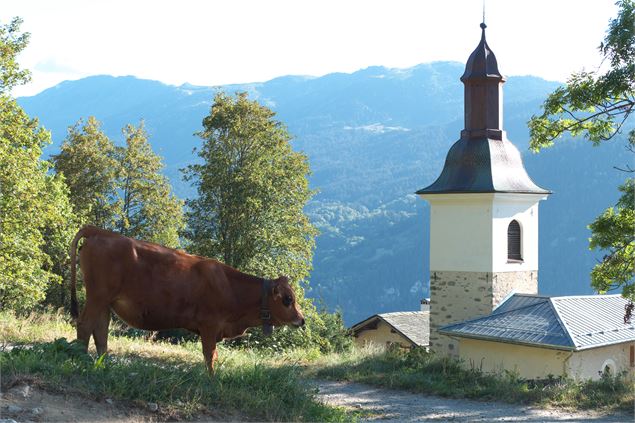 Eglise St Maurice à Feissons-sur-Salins - Vincent Jacques