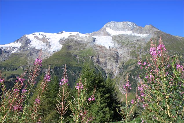 Glaciers de La Gurraz et de La Savinaz