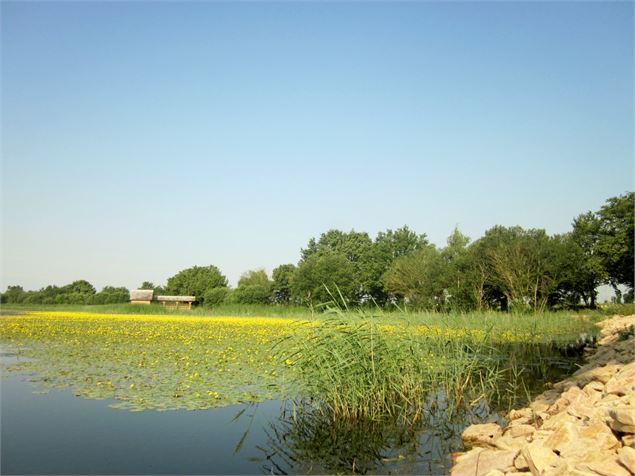 Vue sur l'Etang prele - Dombes Tourisme