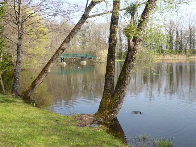 L'étang de Cessy - Anne Marie Barbe