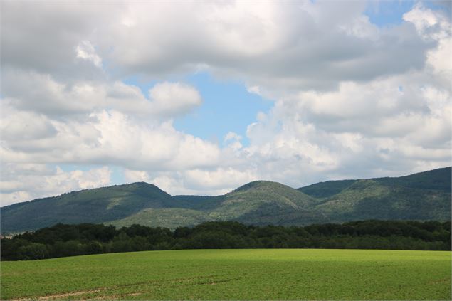 Les trois monts - BBD Office de Tourisme