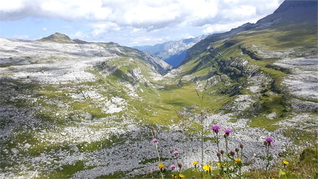 Vue sur le Vallon de Sales depuis le haut du Dérochoir - Karine Mandray