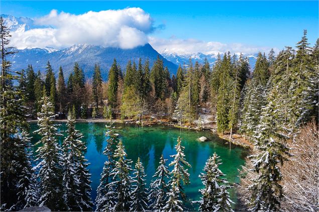 Lac Vert au Printemps - Nathalie Ecuer