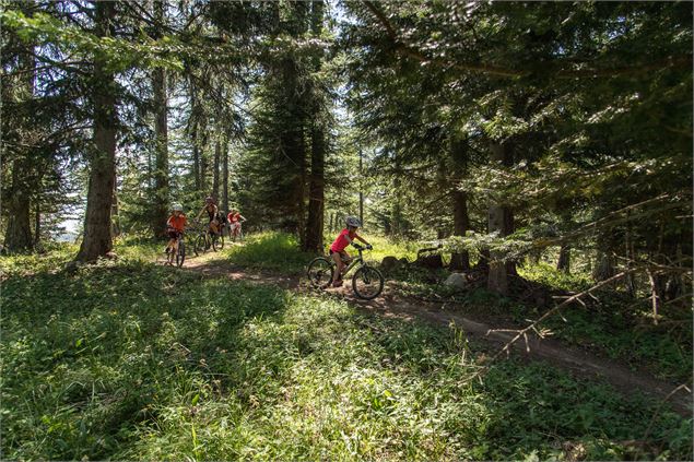 A travers bois VTT Savoie - Alban Pernet