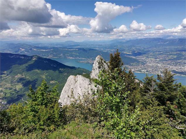 Vue depuis le Mollard Noir - Théa Faure