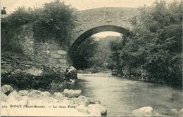 Le pont de Bioge