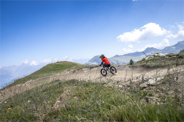 Descente sur le Bike Park - JNJ PHOTO LA PLAGNE