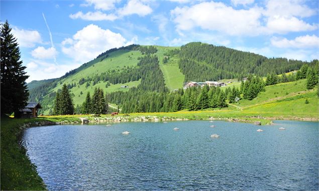 Lac de la Mouille